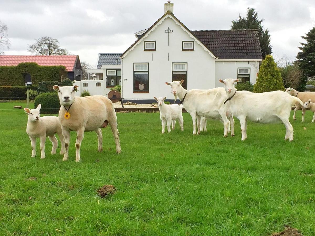 Locatie Het Knooppunt Engelse Chalet Nuis 外观 照片