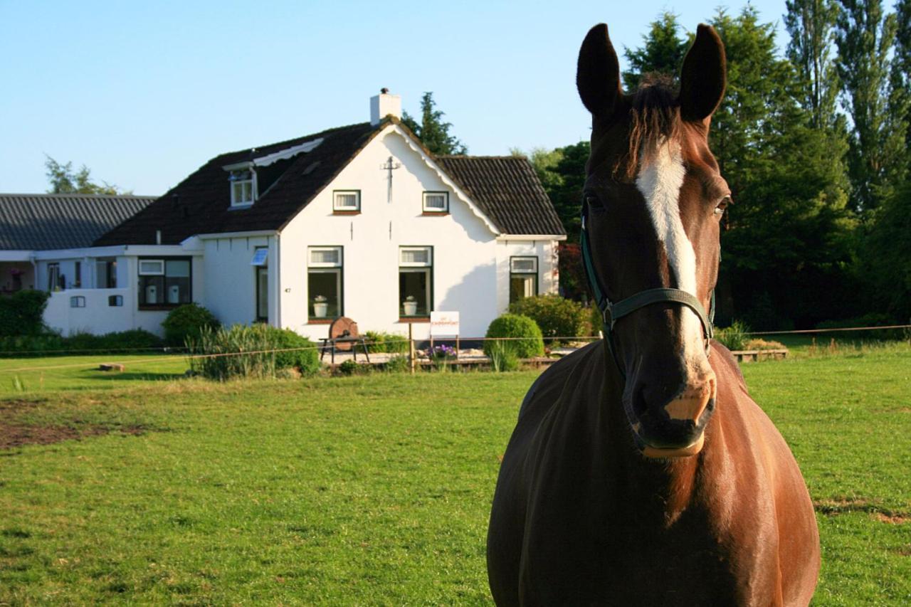 Locatie Het Knooppunt Engelse Chalet Nuis 外观 照片